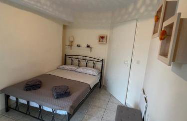 Lemon Tree - Photo 16