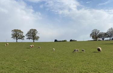 The Chaff House - farm stay apartment set within 135 acres - Foto 32