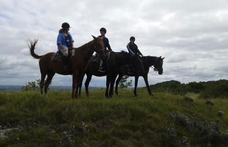 ferme équestre des abrons - Foto 21