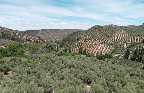 El Almendro de la Tia Teresa - Foto 2