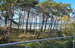 Pine & Sun Apartment - Hevenia Pogorzelica - Foto 8