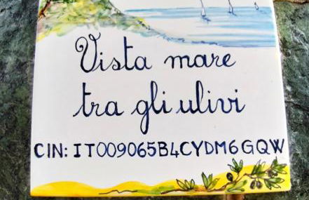 Vista mare tra gli ulivi - Foto 2