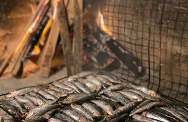 Apartments Matlovac - Foto 46