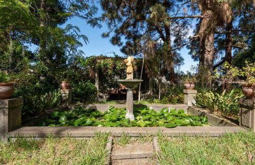 Vivelorural Casita Vintage, Santa Brígida - Foto 57