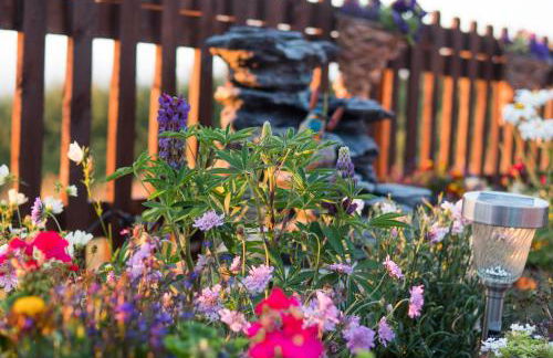 Enlli Fach cabin sleep's 2 adults and 2 children 2 dogs welcome not suitable for contract workers due to parking height restrictions - Photo 6