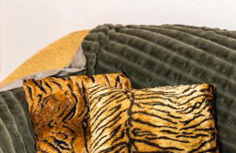 Deus silva - Photo 7