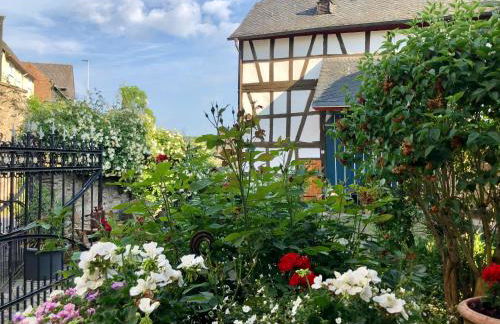 Gut Bunt Ferienhaus - Photo 29