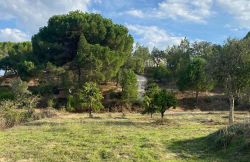 Monte da Marouca-Mont’Argil - Foto 67