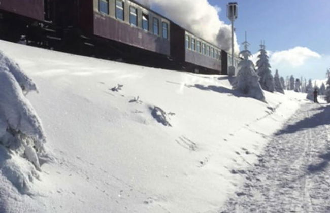 Ferienhaeuser im Torfhaus Harzresort, Torfhaus - Foto 38