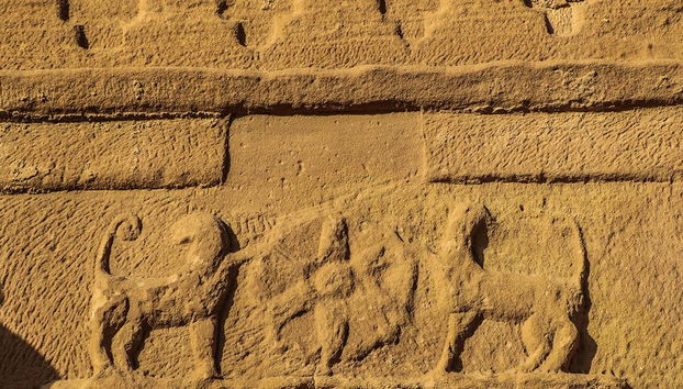 Visita Hegra con traslado opcional - Foto 3