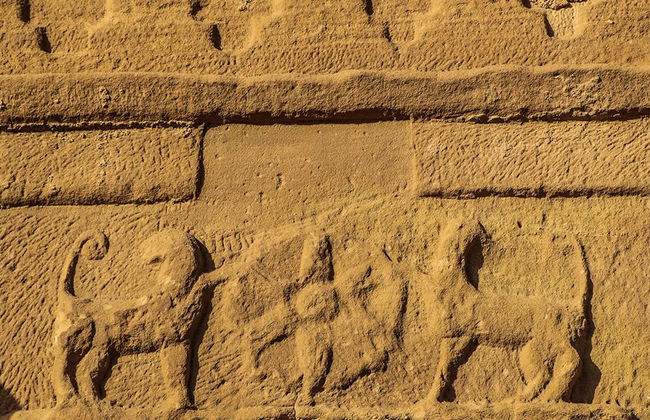 Visita Hegra con traslado opcional - Foto 3