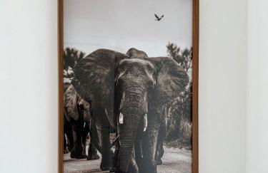 LK Centro 3 - Foto 36