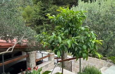 Holiday Home Draga - Foto 15