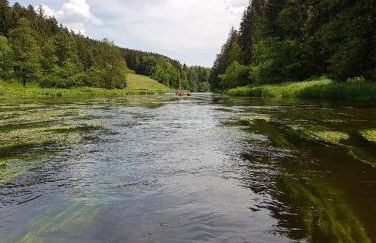 Ferienwohnung Wildgatter - Photo 37