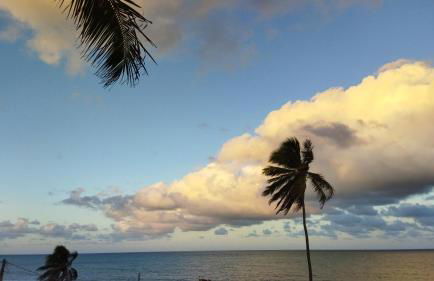 Cabanas Caraúbas - frente para o mar, ar & Tv - Foto 44