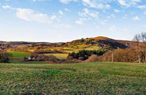 2 Bed in Llanwrtyd Wells 94009 - Foto 31