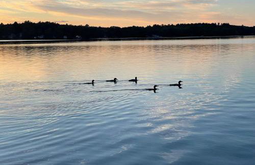 EcoIsland Events, Weddings, Families, Retreats - Foto 50