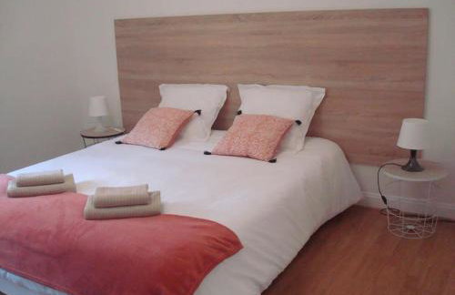 Le Petit Appart au coeur de Vichy - Foto 9