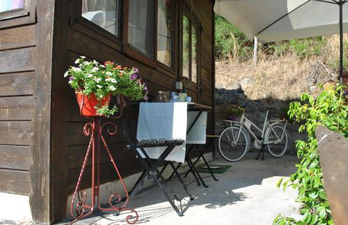 Azienda Agricola Biologica La Cardellina - Foto 51