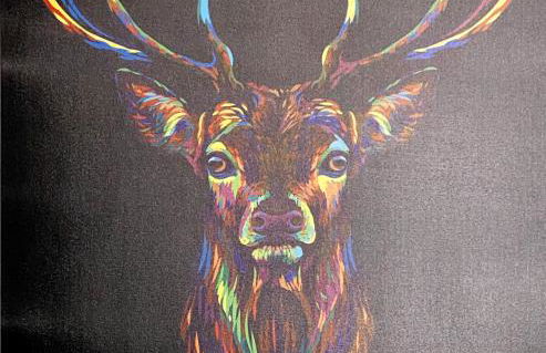 Im Grünen von Kiel - Foto 19