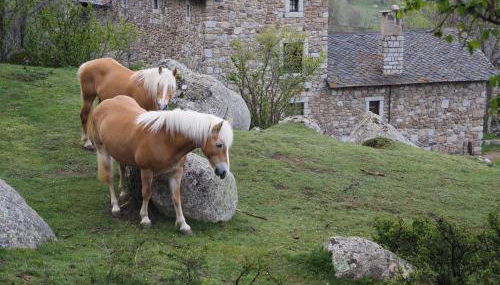 Ferme Can Llull - Foto 4