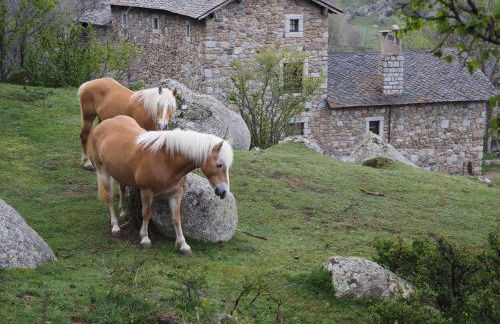 Ferme Can Llull - Foto 4