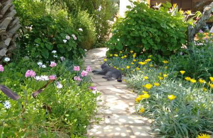 Feliz Apartments - Foto 72