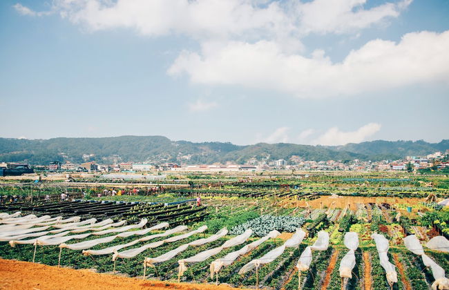 Azalea Hotels & Residences Baguio - Foto 54