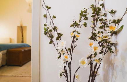 La Lavandière, centre historique, fibre, ESS, rez-de-chaussée, BedinShop - Foto 10