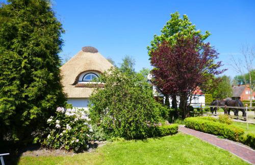 Refugium im Nordseewind - Foto 27