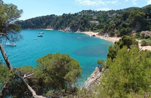 La calma de Tossa - Foto 45