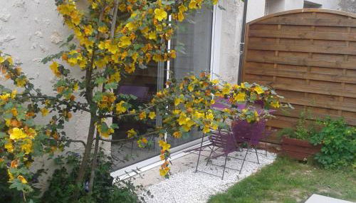 Charmante maison près des châteaux de la Loire avec jardin fermé et animaux bienvenus - FR-1-590-65 - Photo 3