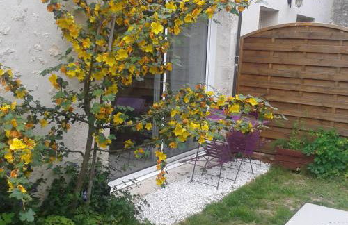 Charmante maison près des châteaux de la Loire avec jardin fermé et animaux bienvenus - FR-1-590-65 - Photo 3