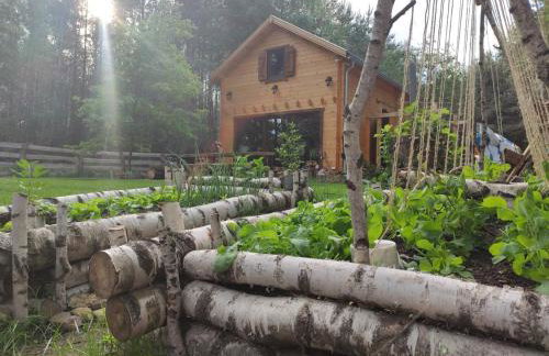 Przystań Zakapiora - Foto 10