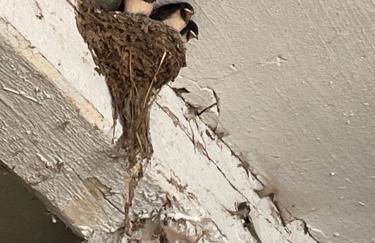 Ferienhof"WaldEsel Rippersroda" - Foto 59