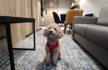 Apartamenty Bliżej Chmur Szklarska Poręba-Zloty Horyzont - Foto 3