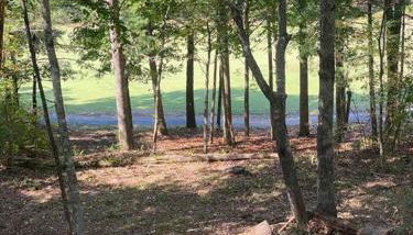 Helen, GA Bear Paw Haus 4 bdrm, sleeps 10, fire pit, pool table, on Golf course - Foto 3