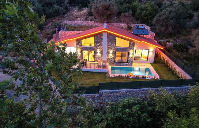 Yaka Esinti Villa - Photo 46