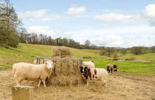 Spire View - Foto 19