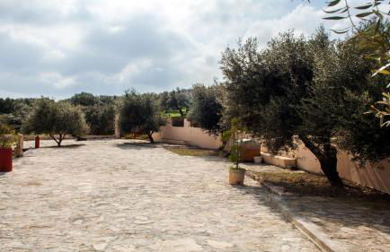 Fοivos and Athina Villas - Foto 12