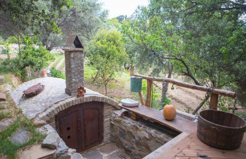 Captain Ikaros - Foto 44