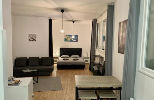 STUDIO COSY - HYPERCENTRE - CALME - 50M2 - Wi-FI - Foto 17