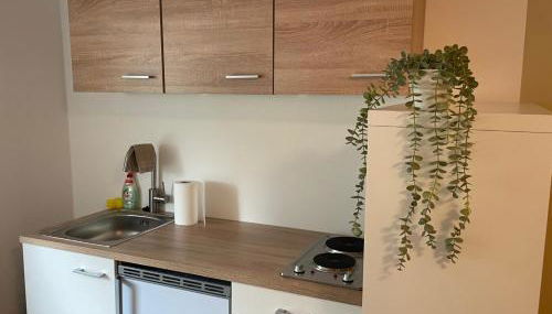 Gemütliches Appartement 4 - mit Küche und Bad zur Eigennutzung -Schuster Homes- - Foto 5, towels, stove