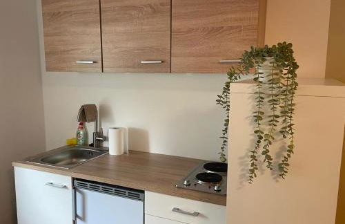 Gemütliches Appartement 4 - mit Küche und Bad zur Eigennutzung -Schuster Homes- - Foto 5