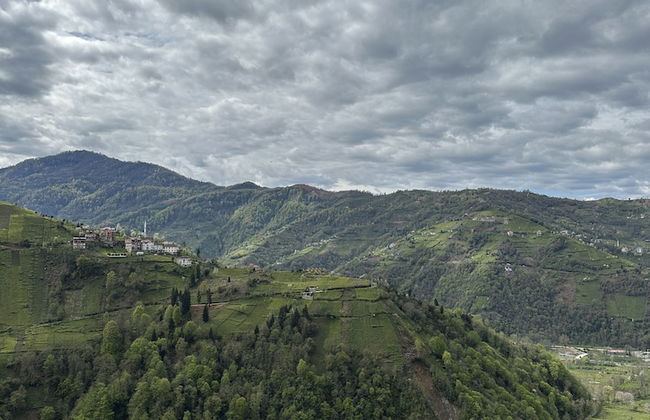 Arte suit bungalov - Foto 57