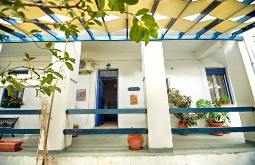 Plumeria Flowery - Foto 28