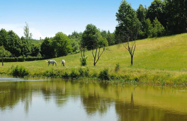 Apartment in a Fantastic Location Just 20 m From Lake Boruja in Rekowo - Foto 12