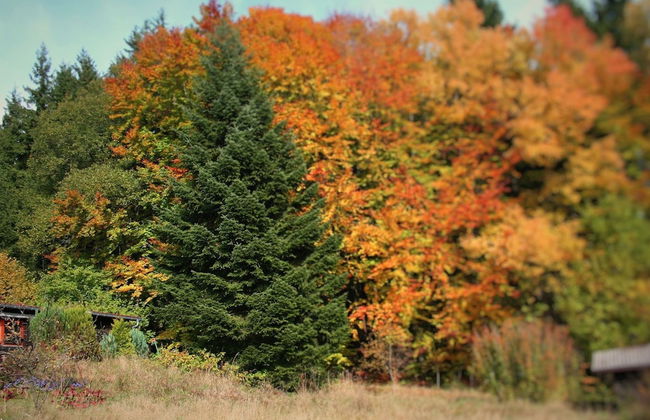 Holiday Home With Terrace - Foto 25