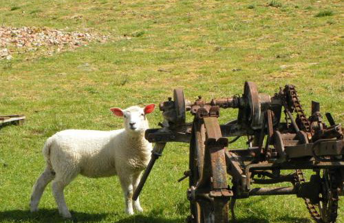 Little Byre Cottage - Photo 19