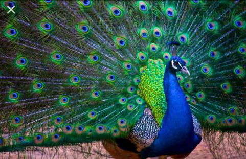 Agriturismo Santa Lucia - Foto 79